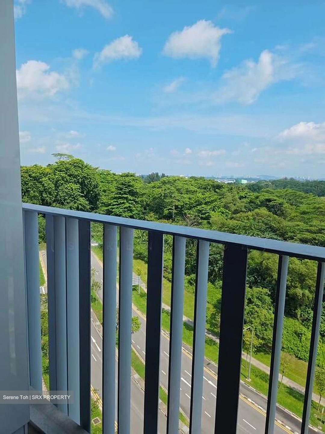 Parc Botannia (D28), Condominium #598165131